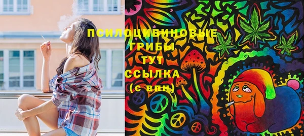 MDMA Premium VHQ Инта