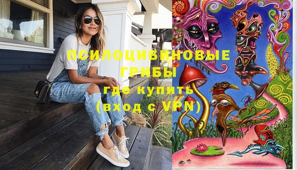 гидропоника Иннополис