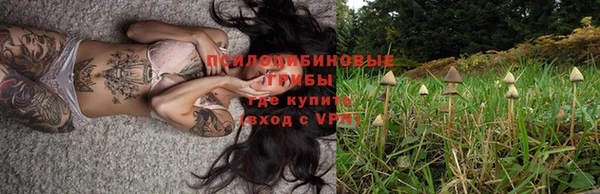 стафф Каменск-Шахтинский