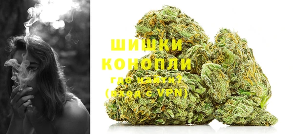 гидропоника Иннополис