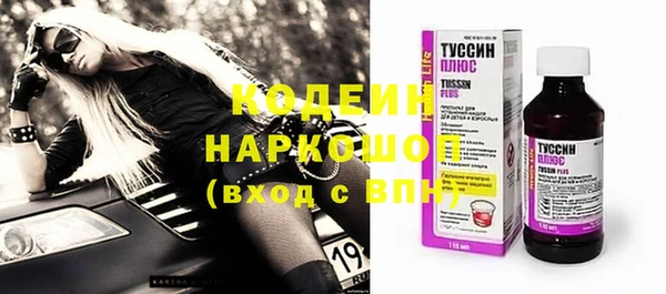 первитин Каменка