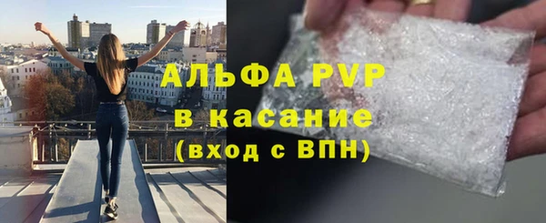 стафф Каменск-Шахтинский